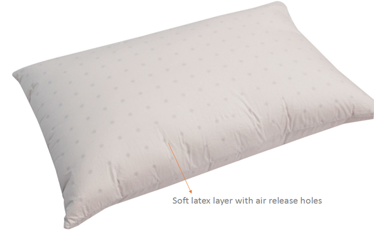 Latex Surround Pillow