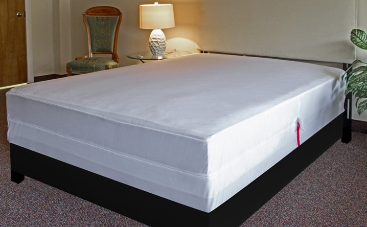 Six Sides Waterproof Mattress Encasement