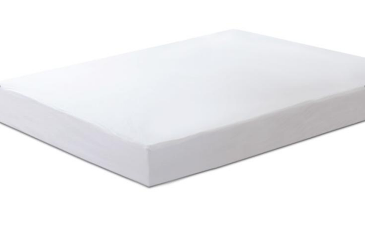 Basic Terry Mattress Protector