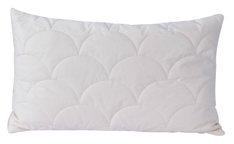 Organic Cotton Pillow