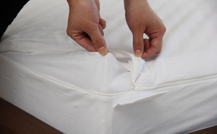 Bed Bug Mattress Encasement