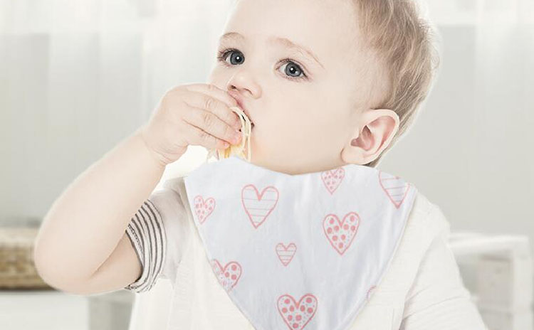 Baby Bib